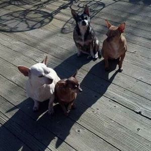 Meet your Posher, Cheryl